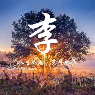 中信保诚人寿安阳中心支公司被罚18万元：编制虚假资料